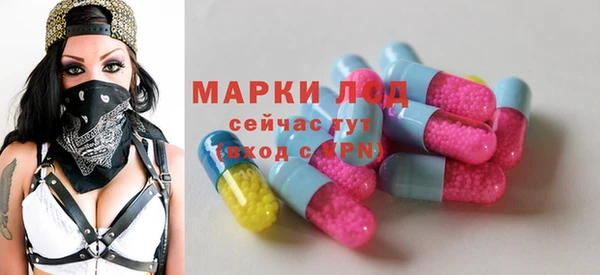 spice Корсаков