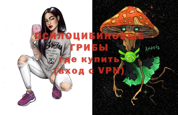 сатива Костерёво