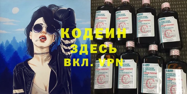 сатива Костерёво