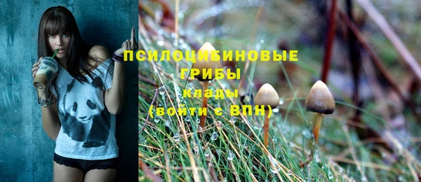 хмурый Коряжма