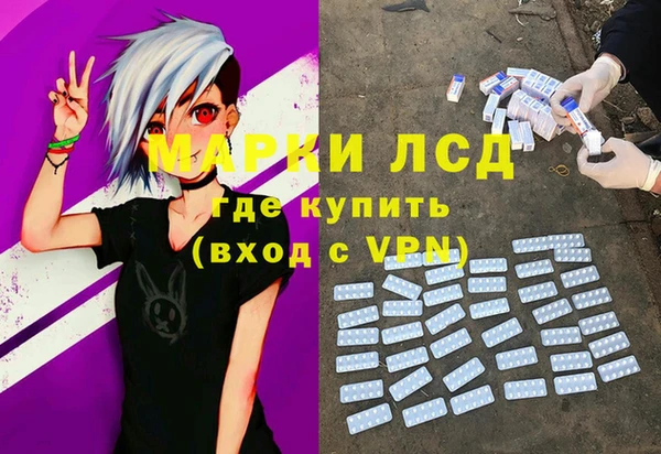 сатива Костерёво