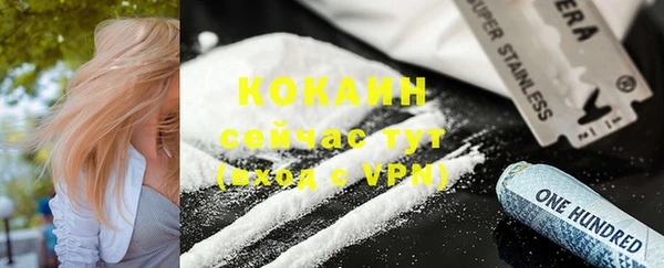 сатива Костерёво