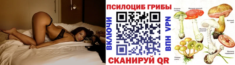 Псилоцибиновые грибы Cubensis  Купить  Старая Купавна 